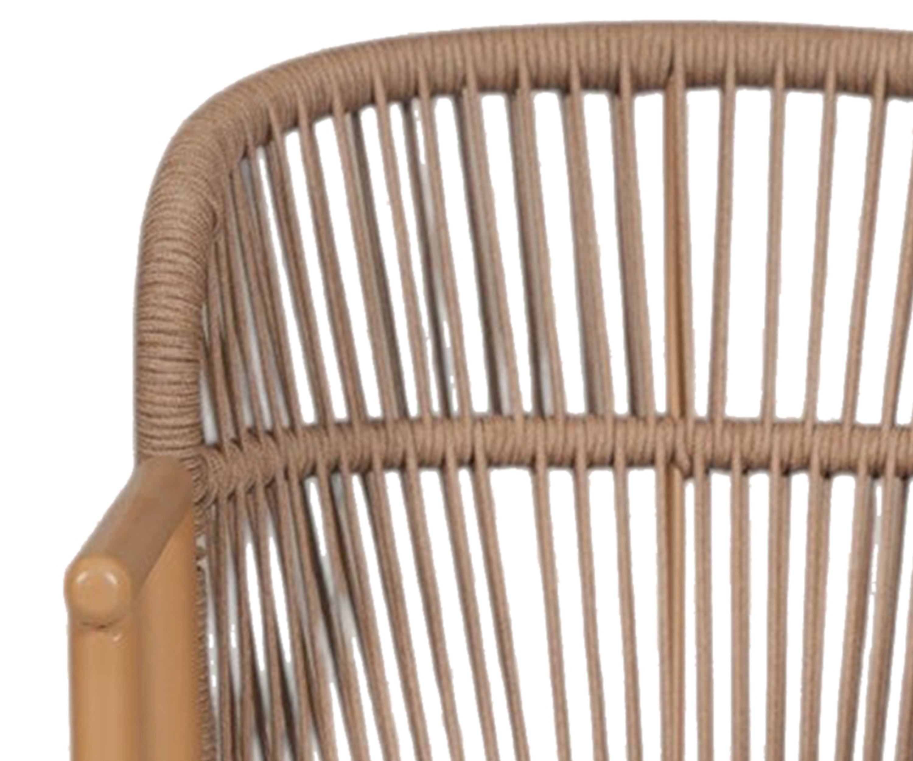 Sand Beige Rattan Fan-Back Arm Dining Chair with Cushion Seat