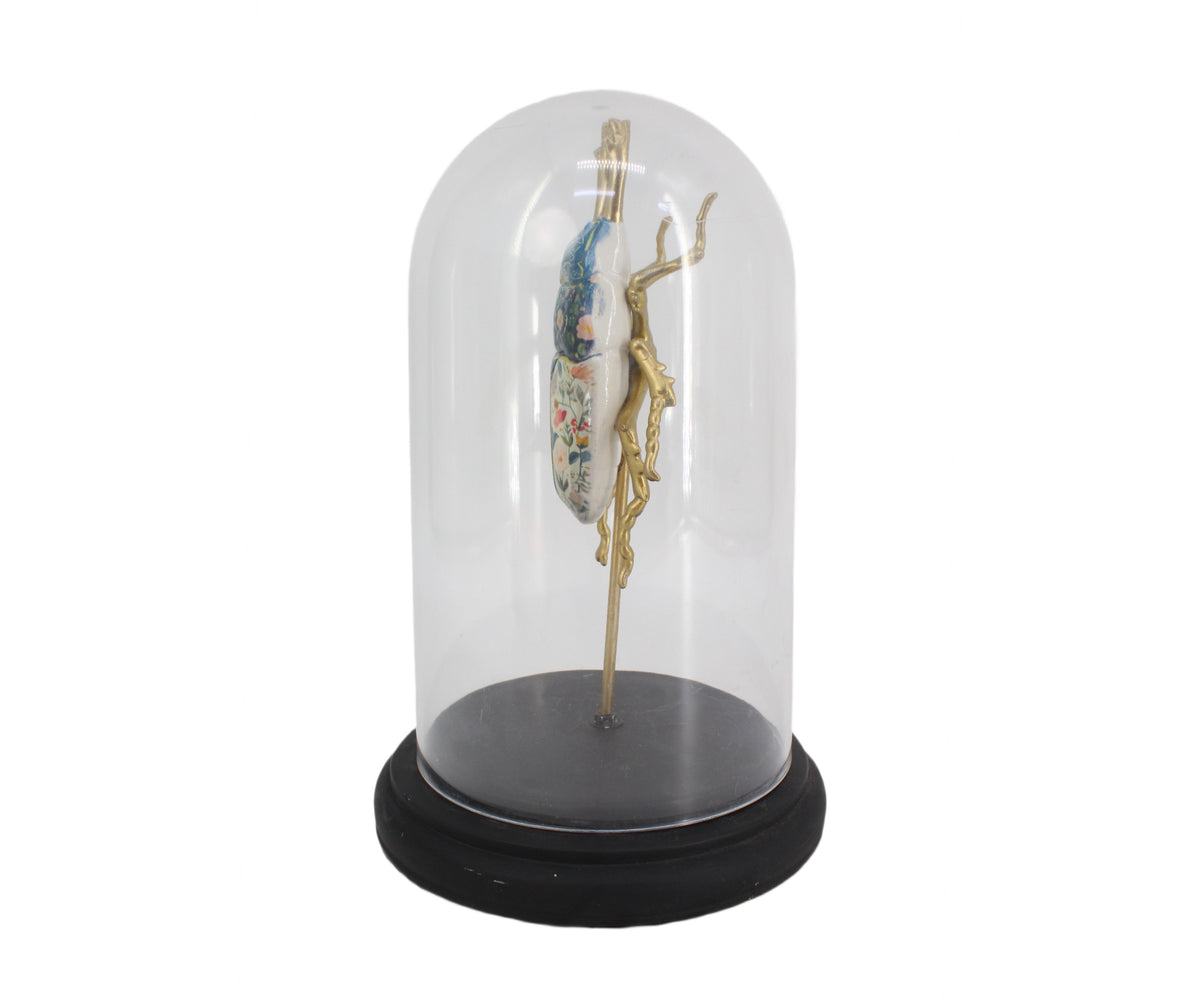Beetle Figurine in Glass Display Cloche