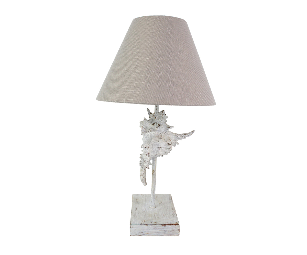 Distress White Murex Shell Table Lamp