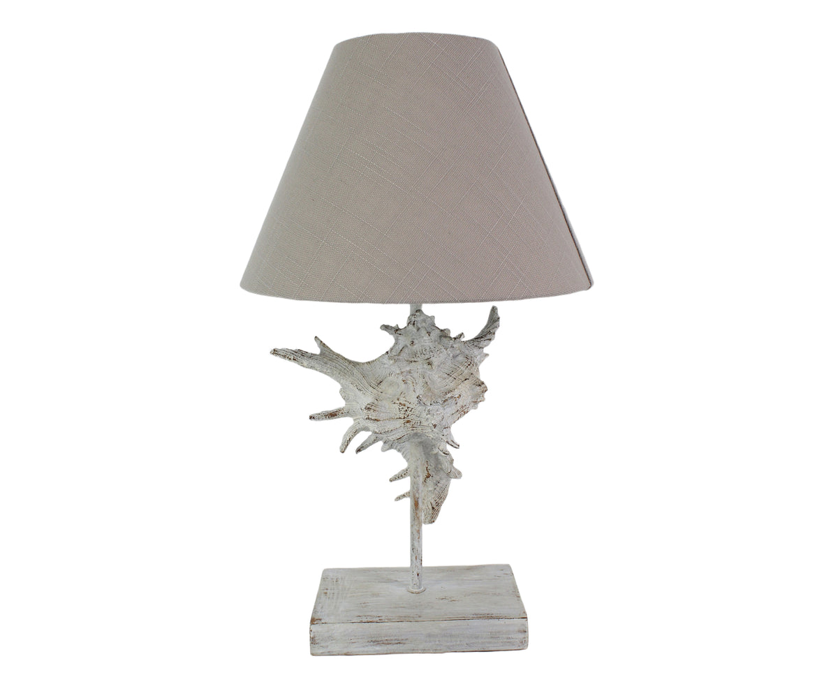 Distress White Murex Shell Table Lamp
