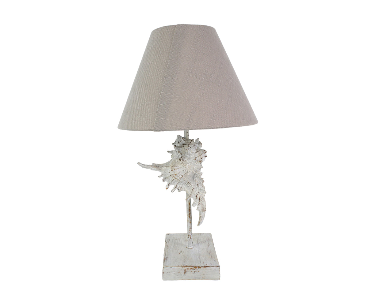 Distress White Murex Shell Table Lamp