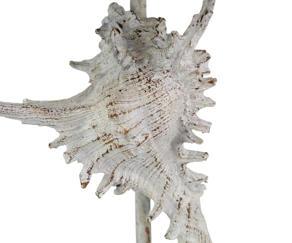 Distress White Murex Shell Table Lamp