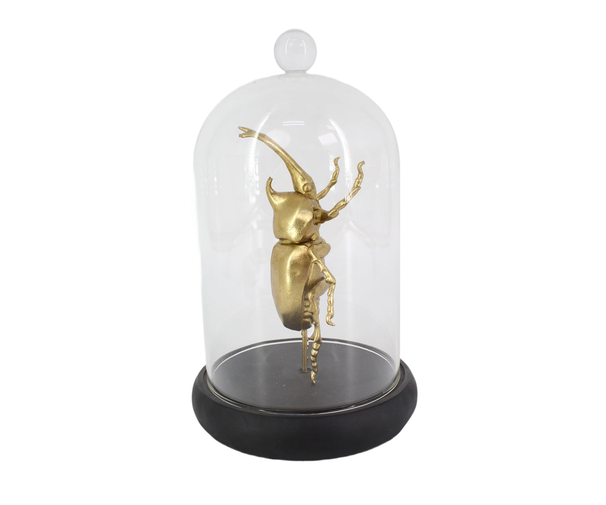 Gold Metallic Beetle with Cloche Dome