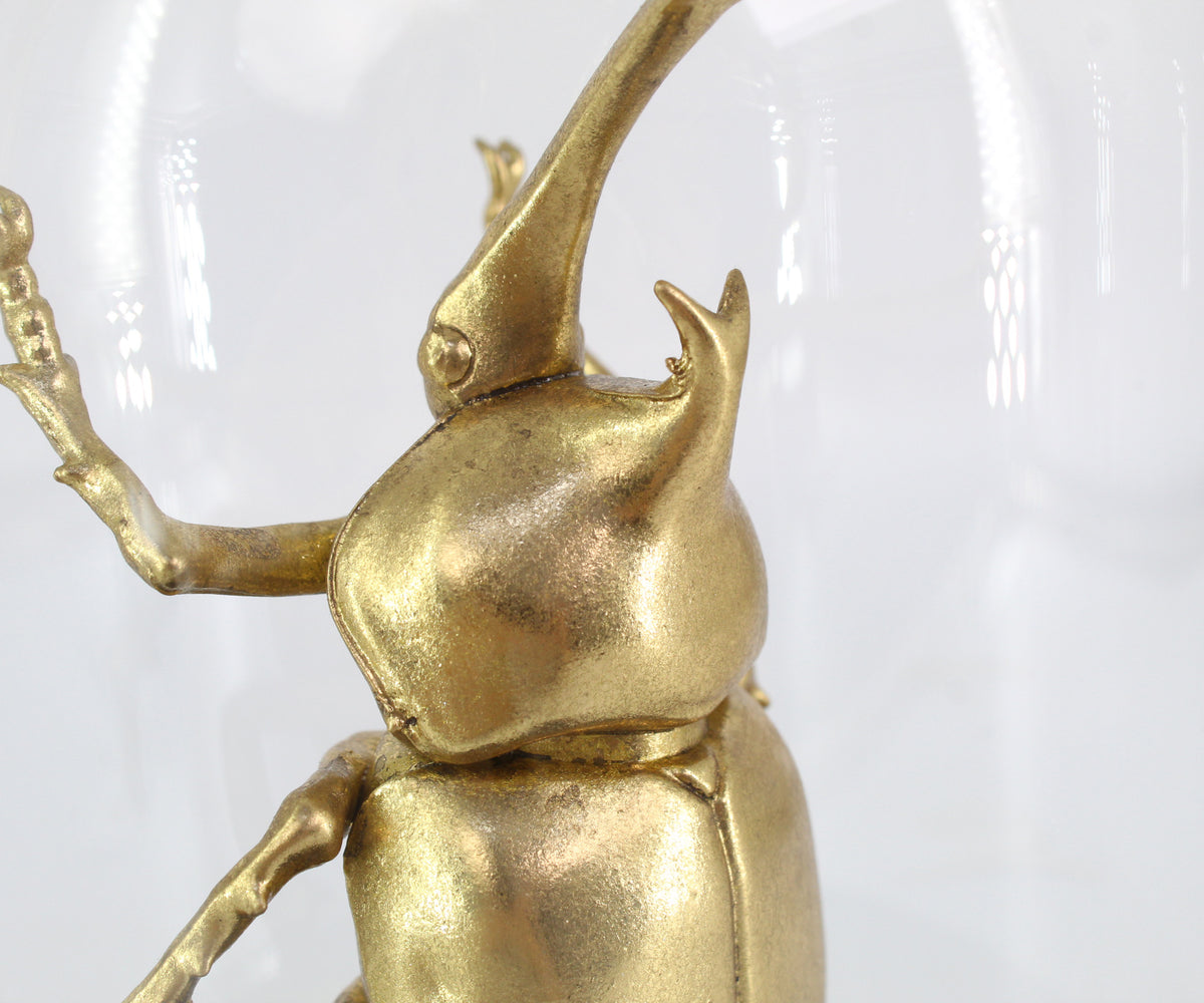 Gold Metallic Beetle with Cloche Dome
