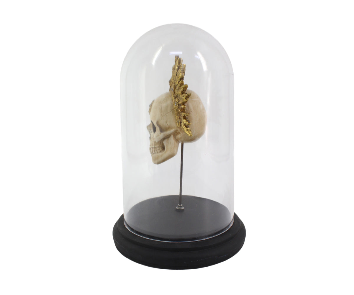 Sunburst King Skull with Glass Dome Display
