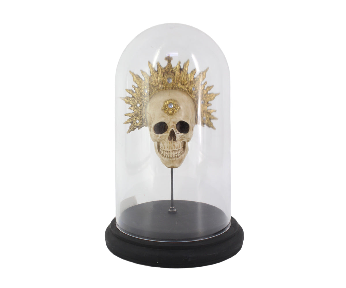 Sunburst King Skull with Glass Dome Display