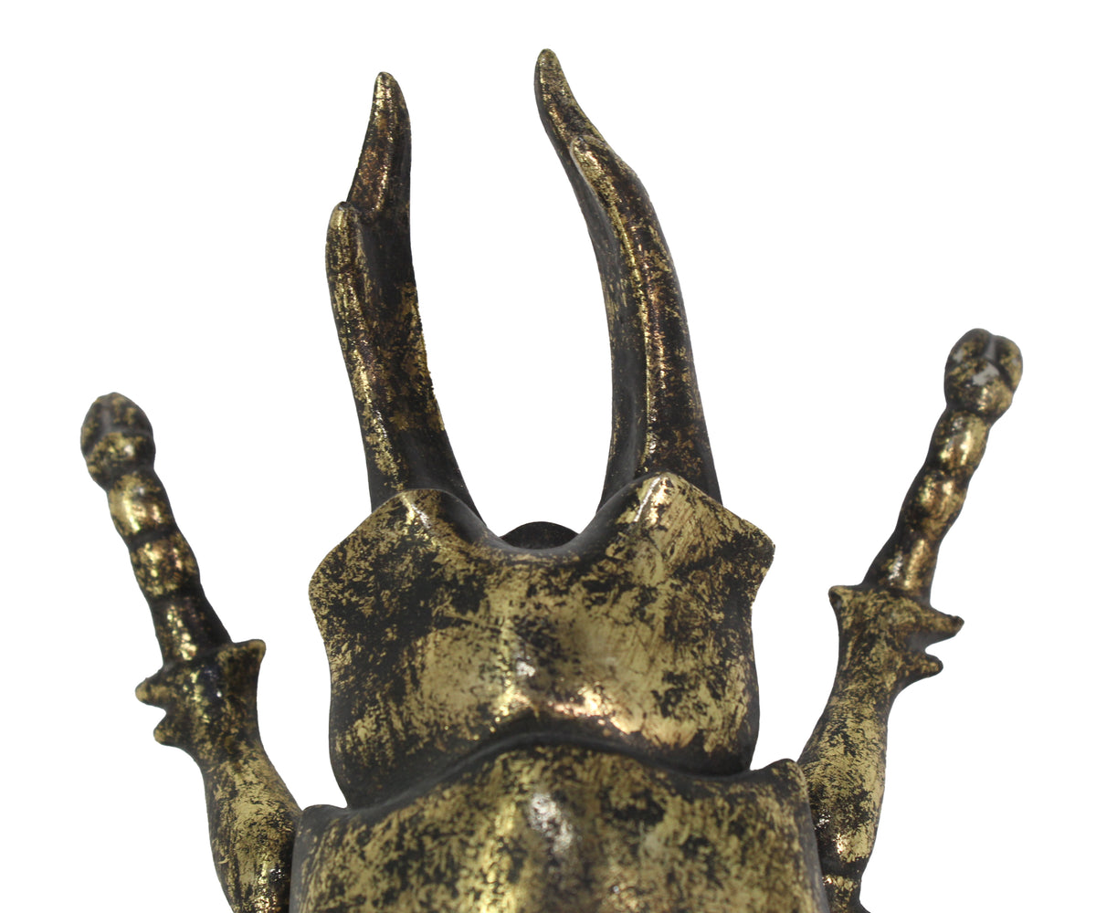 Distress Gold Mirrored Stag Beetle for Hallway Walls